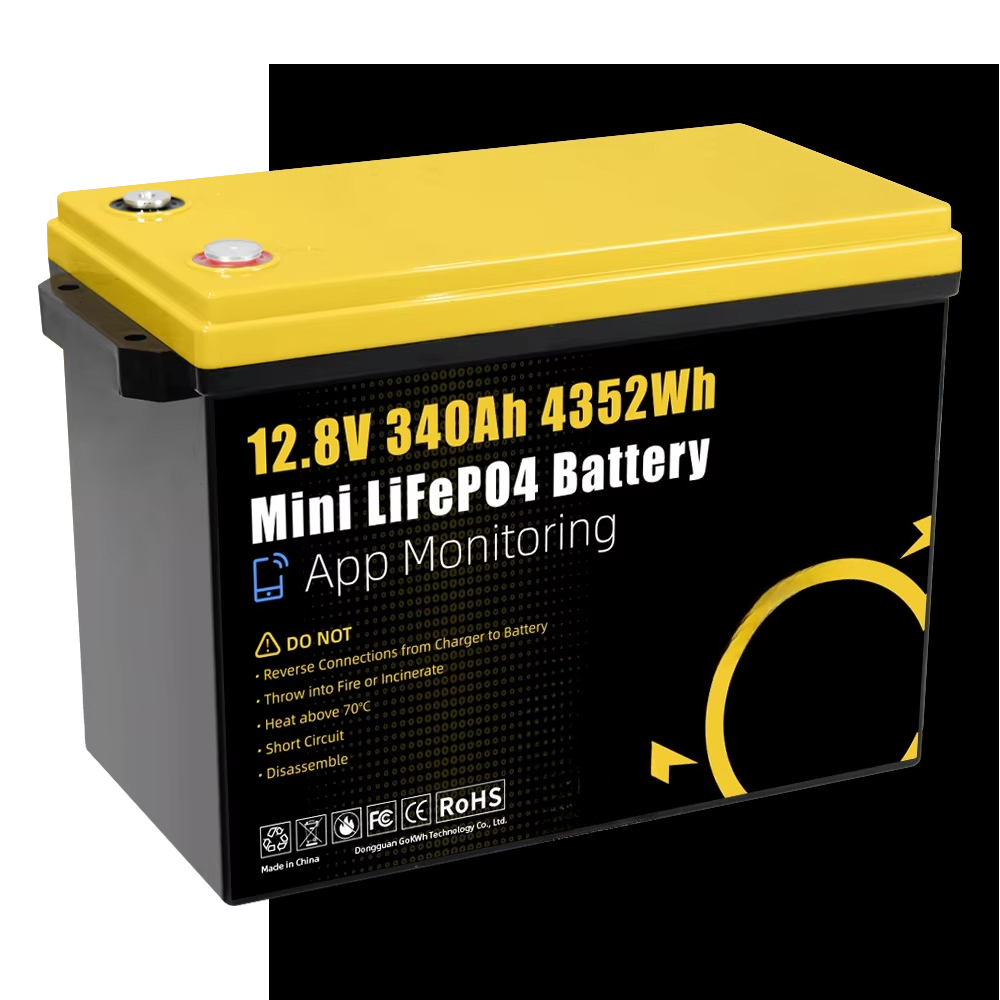 GoKWh Marine 12v Lifepo4 Lithi - Lithium Battery 100Ah 评论和价格