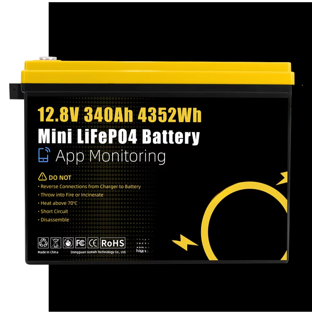 GoKWh Marine 12v Lifepo4 Lithi - Lithium Battery 100Ah 评论和价格
