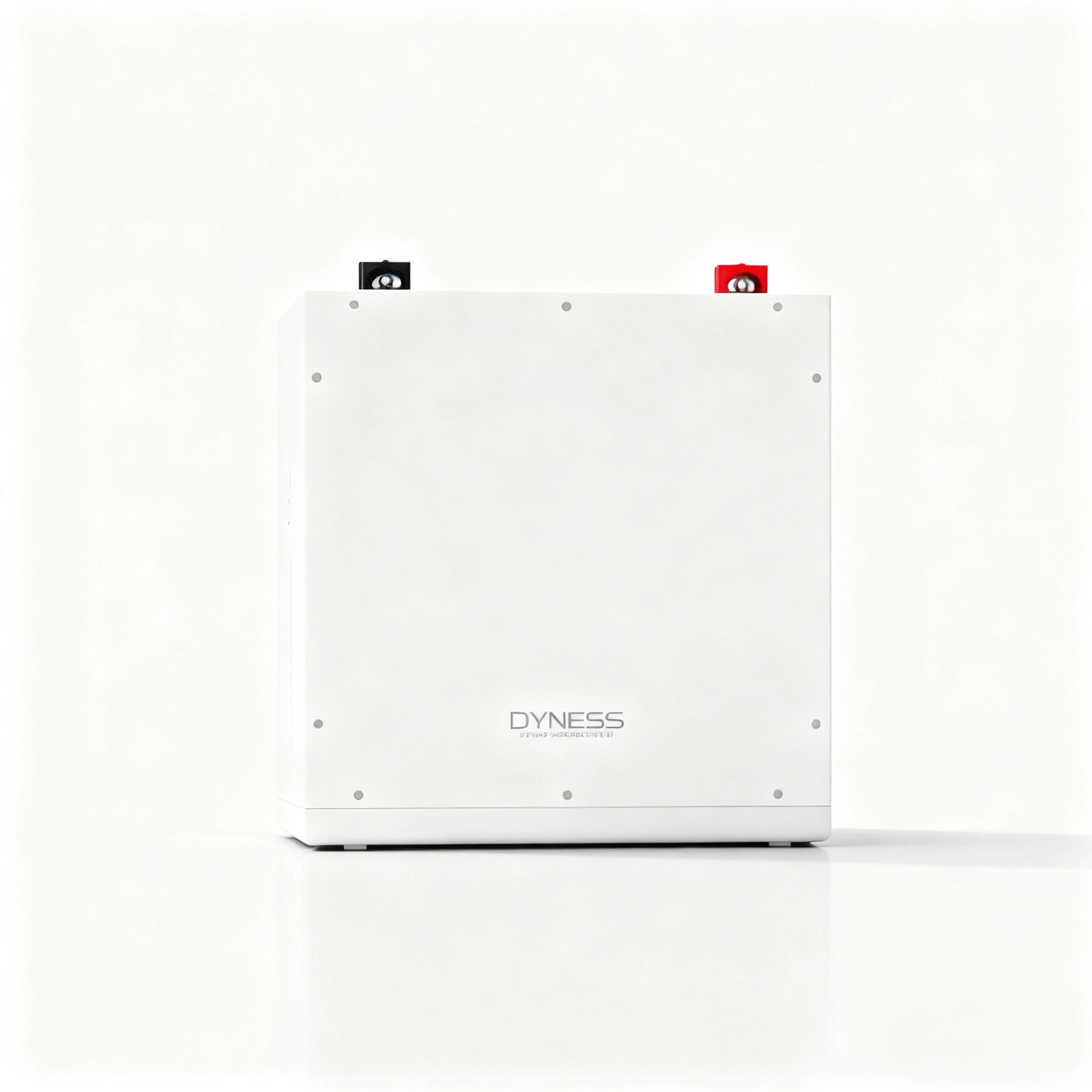 Dyness DL5.0C 1C Lithium Ion B - Lithium Battery 100Ah 评论和价格