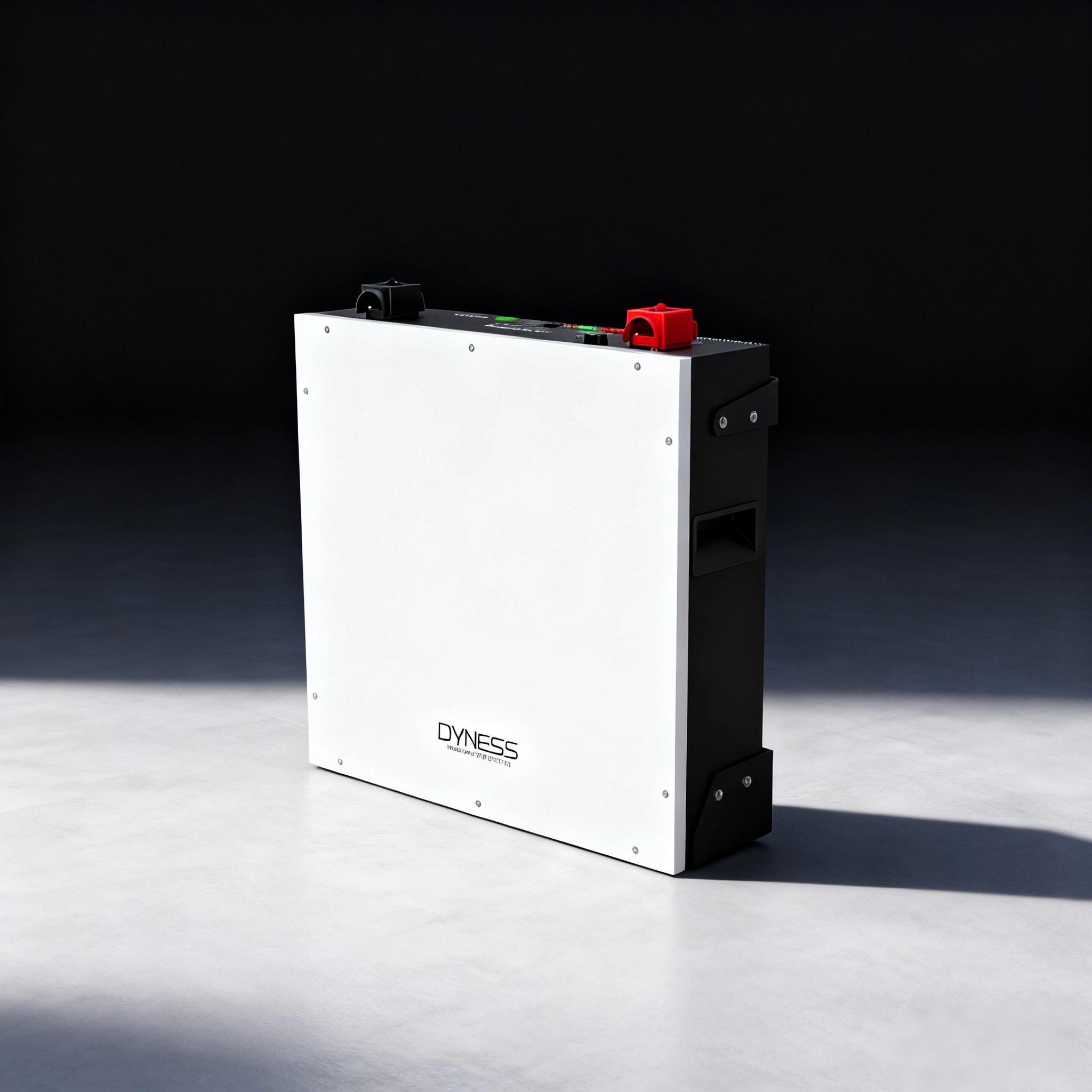 Dyness DL5.0C 1C Lithium Ion B - Lithium Battery 100Ah 评论和价格