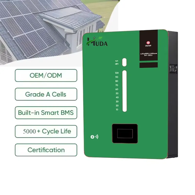 High Capacity 5kWh LiFePO4 Lit - Lithium Battery 100Ah 评论和价格